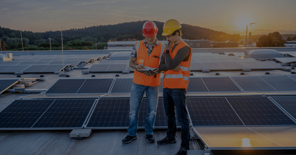 Checkfox: Diversifying Lead Generation with Native Ads | MGID